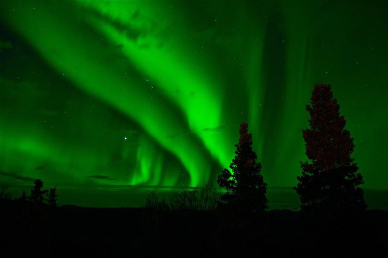 Aurora Eats