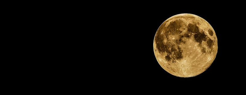 Moon Serenades