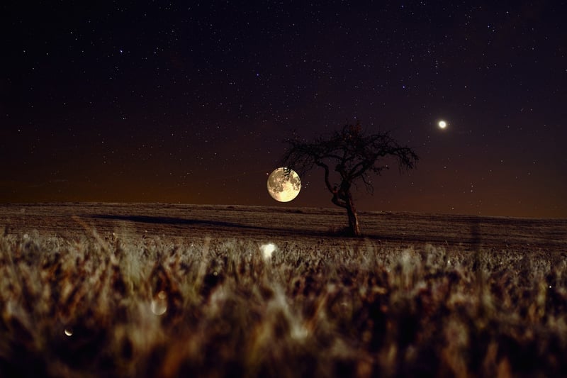 Moonlight